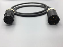 Load image into Gallery viewer, Gotham Audio-Neutrik GAC-2 V1 Balanced XLR Cable Pair-10 Foot
