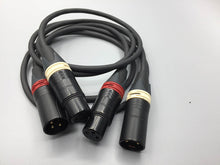 Load image into Gallery viewer, Gotham Audio-Neutrik GAC-2 V1 Balanced XLR Cable Pair-10 Foot
