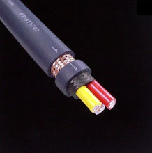 Load image into Gallery viewer, Furutech FP-3TS762-FI-28 (G) 10 AWG Power Cord-2 Meter

