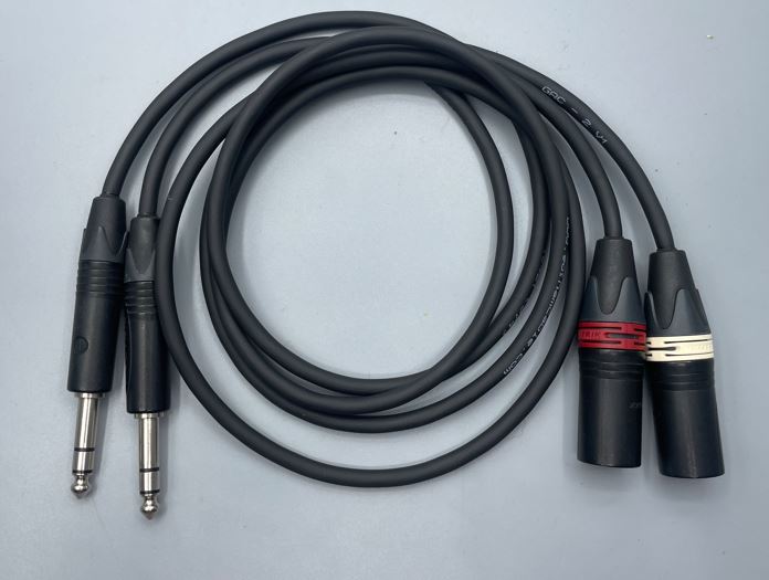 Gotham Audio-Neutrik 10421 TRS-XLR Male Cable Pair-3 Foot