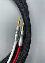 Load image into Gallery viewer, Furutech U-2T/FP-200B(G) 2 Conductor Speaker Cable Pair-2 Meter
