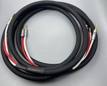 Load image into Gallery viewer, Furutech U-2T/FP-200B(G) 2 Conductor Speaker Cable Pair-2 Meter

