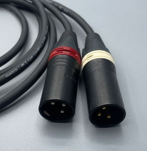 Gotham Audio-Neutrik 10421 TRS-XLR Male Cable Pair-3 Foot