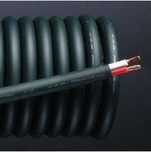 Load image into Gallery viewer, Furutech U-2T/FP-200B(G) 2 Conductor Speaker Cable Pair-2 Meter
