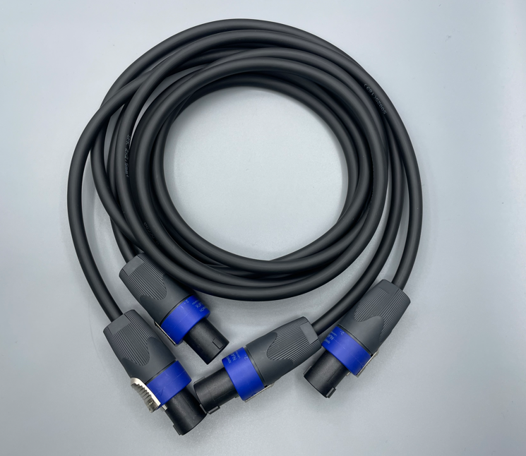 Gotham Audio-Neutrik Speakon 50025 Speaker Cable Pair-6 Foot