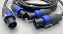 Load image into Gallery viewer, Gotham Audio-Neutrik Speakon 50025 Speaker Cable Pair-6 Foot
